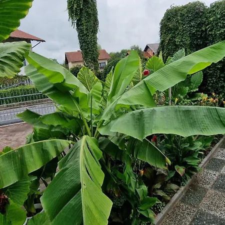 Murko S-1 Lägenhet *