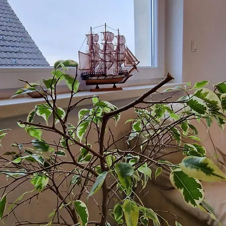 Appartement Murko S-1 Brest