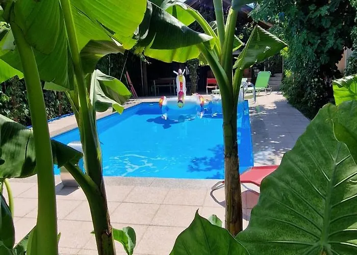 Murko S-1 Daire Brest