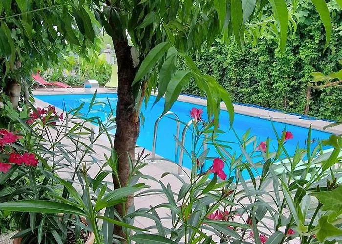 Daire Murko S-1 Brest