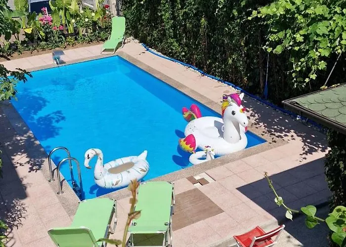 Daire Murko S-1 Brest