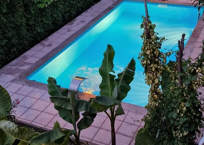 Daire Murko S-1 Brest